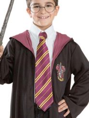 Harry Potter Gryffindor Tie